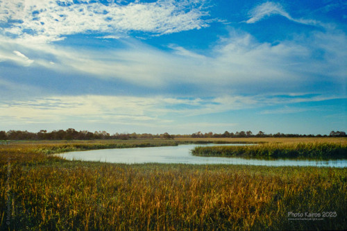Sapelo2023_20231210-120-1_20_1800px.jpg