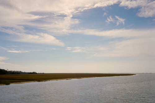 Sapelo2023_20231210-120-1_24_1800px.jpg