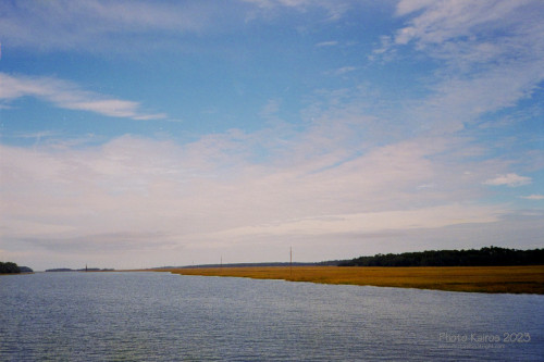 Sapelo2023_20231210-120-1_25_1800px.jpg