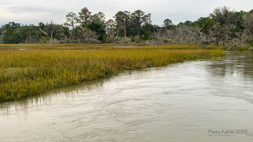 Sapelo2023_Sapelo2023_IMG_5145_1800px.jpg