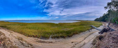 Sapelo2023_Sapelo2023_IMG_5170_1800px.jpg