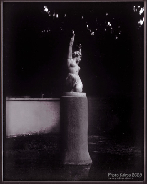Sapelo2023_20231219-PaperNegatives-4x5_06-5_1800px.jpg
