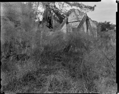 Sapelo2023_ChocolateRuins_20231218-4x5-SapeloIlfordNegatives_01_1800px.jpg