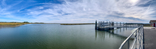 Sapelo2023_Sapelo2023_IMG_4875_1800px.jpg