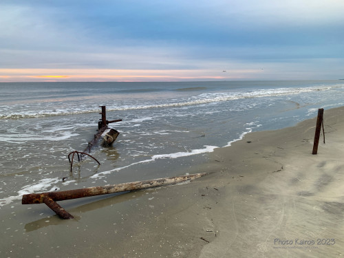 Sapelo2023_Sapelo2023_IMG_5069_1800px.jpg