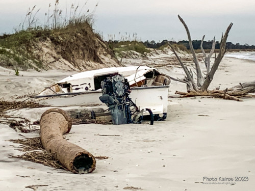Sapelo2023_Sapelo2023_IMG_5086_1800px.jpg