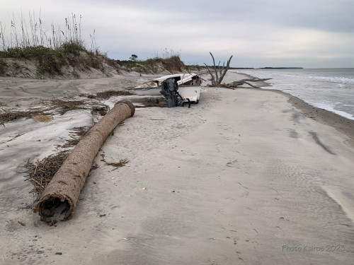 Sapelo2023_Sapelo2023_IMG_5093_1800px.jpg