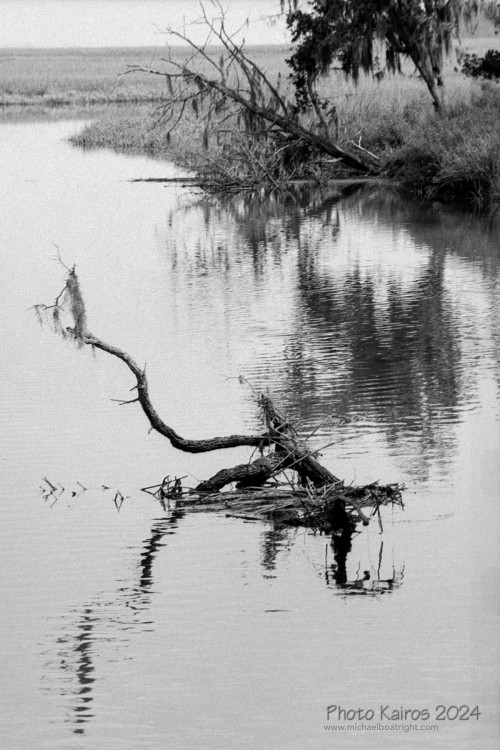 Sapelo2024_20240504-135-HP5-Sapelo_03.jpg