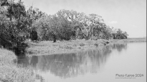 Sapelo2024_20240504-135-HP5-Sapelo_12.jpg