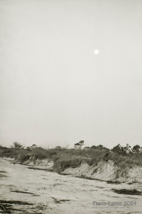 Sapelo2024_20240504-135-HP5-Sapelo_14.jpg
