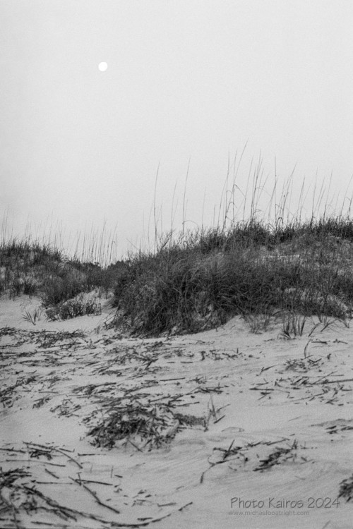 Sapelo2024_20240504-135-HP5-Sapelo_24.jpg
