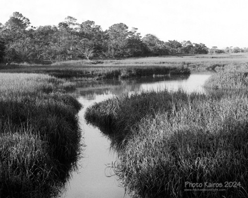 Sapelo2024_20240504-135-HP5-Sapelo_25.jpg