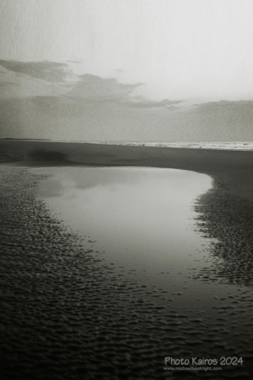 Sapelo2024_20240504-135-TMAX-Sapelo_23.jpg