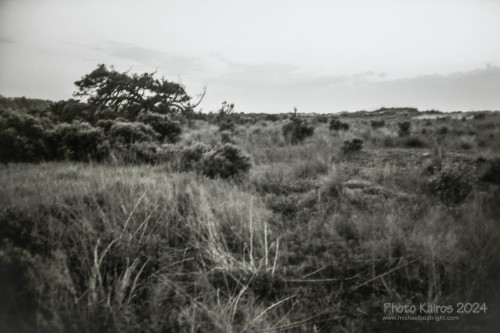 Sapelo2024_20240504-135-TMAX-Sapelo_24.jpg