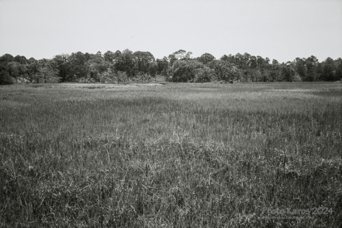 Ecological Habitats