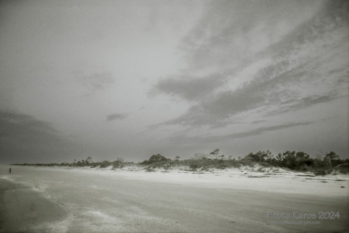 Sapelo2024_20240504-135-TMAX-Sapelo_32.jpg