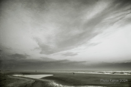 Sapelo2024_20240504-135-TMAX-Sapelo_34.jpg
