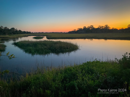 Sapelo2024_IMG_1173.jpg