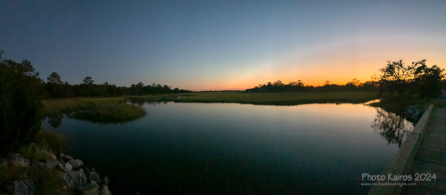 Sapelo2024_IMG_1176.jpg