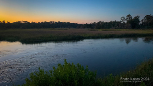 Sapelo2024_IMG_1178.jpg
