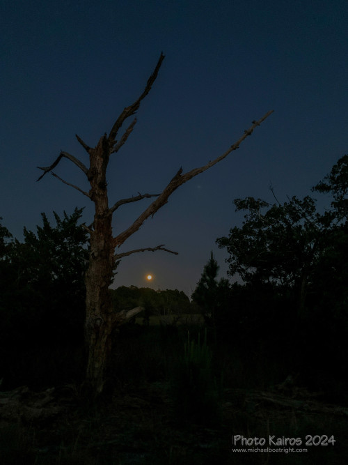 Sapelo2024_IMG_1191.jpg
