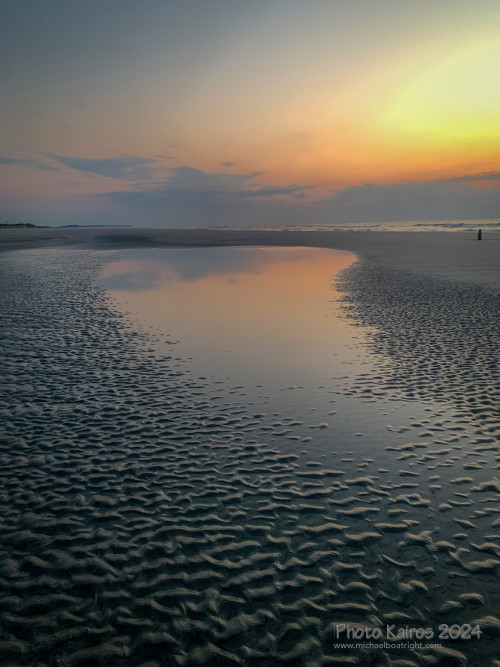 Sapelo2024_IMG_1227.jpg