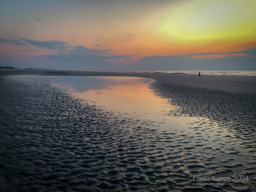 Sapelo2024_IMG_1228.jpg