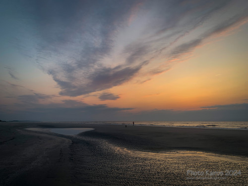 Sapelo2024_IMG_1247.jpg