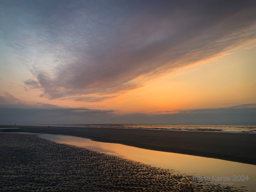 Sapelo2024_IMG_1256.jpg