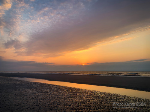 Sapelo2024_IMG_1265.jpg