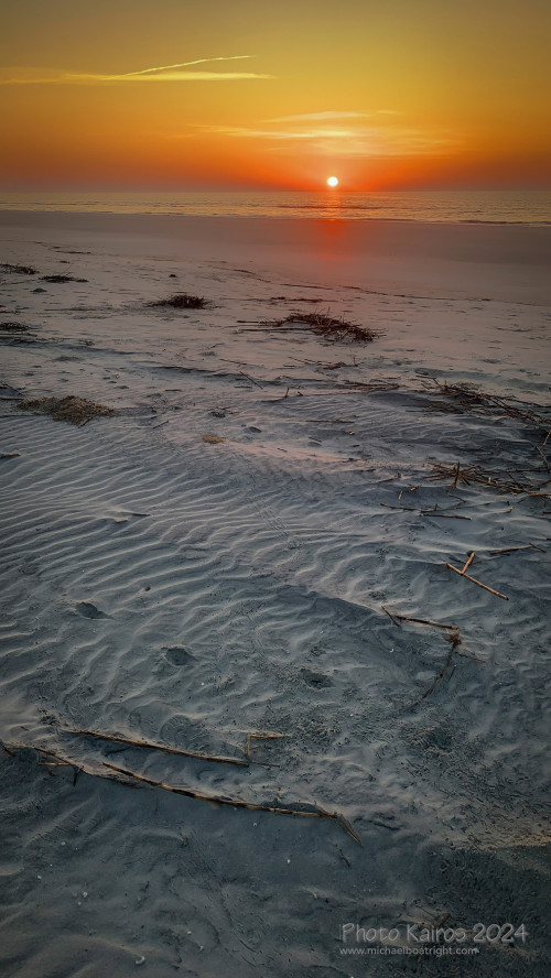 Sapelo2024_IMG_1326.jpg