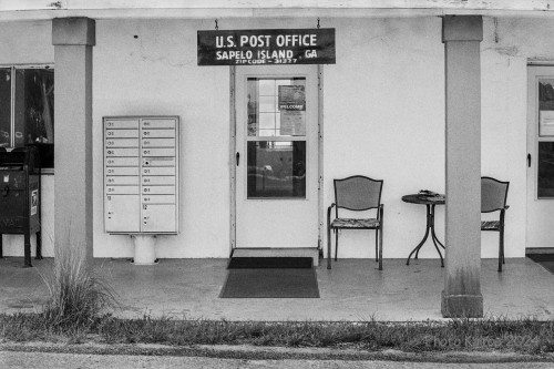 Sapelo2024_20240504-135-HP5-Sapelo_10.jpg
