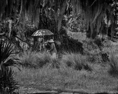 Sapelo2024_20240504-135-HP5-Sapelo_11.jpg