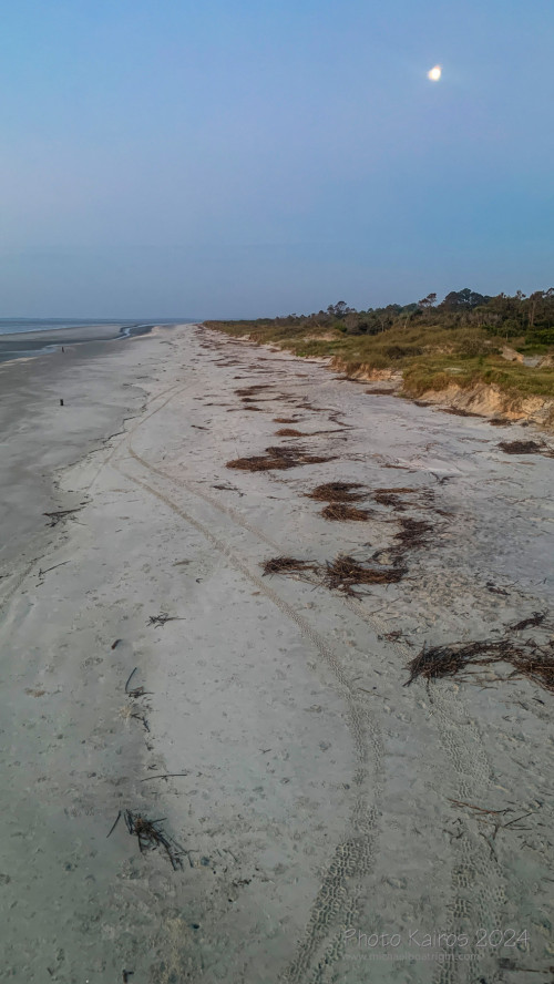 Sapelo2024_IMG_1317.jpg