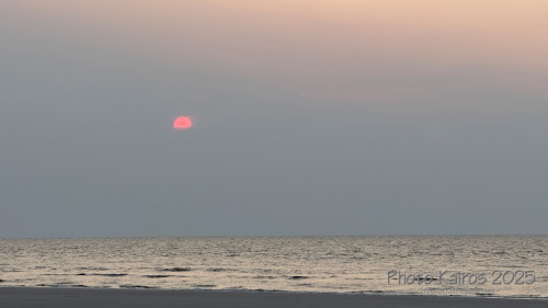 Sapelo2025_IMG_7675_1800px.jpg