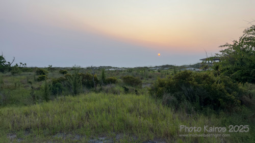 Sapelo2025_IMG_7683_1800px.jpg