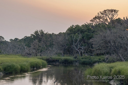 Sapelo2025_IMG_7699_1800px.jpg