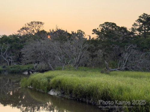Sapelo2025_IMG_7716_1800px.jpg
