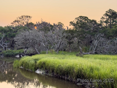 Sapelo2025_IMG_7717_1800px.jpg