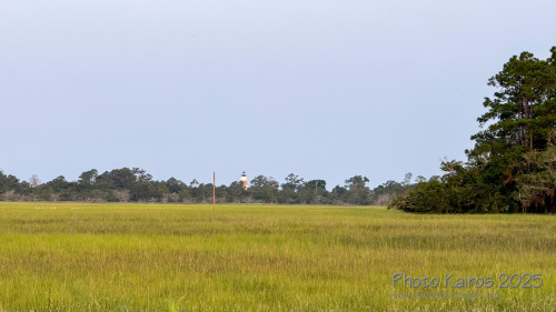 Sapelo2025_IMG_7722_1800px.jpg