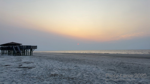Sapelo2025_IMG_7677_1800px.jpg