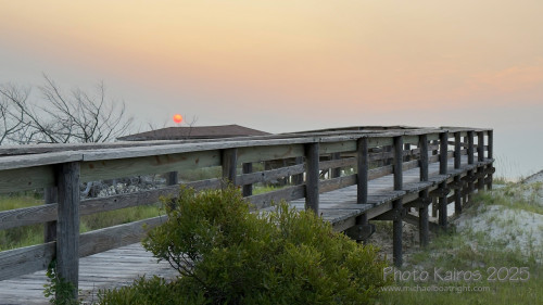 Sapelo2025_IMG_7681_1800px.jpg
