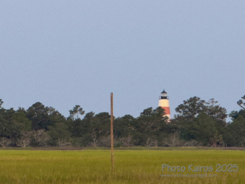 Sapelo2025_IMG_7725_1800px.jpg